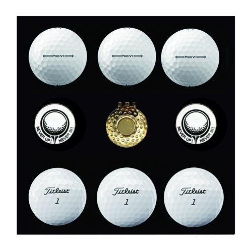 Ÿ��Ʋ����Ʈ PRO V1 6�� ����Ŀ 2�� �ιٸ����̽���Ʈ